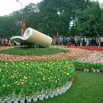 Hanoi flower festival