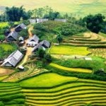 sapa