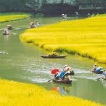 tam coc